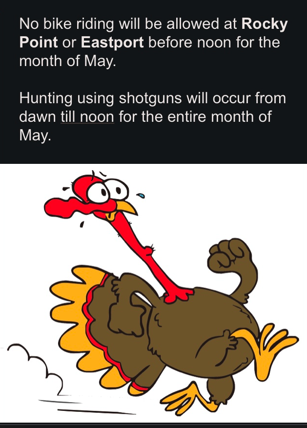 May turkey hunting